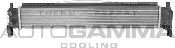 Autogamma 107718 - Radiators, Motora dzesēšanas sistēma www.autospares.lv