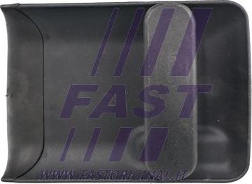 Fast FT94309 - Durvju rokturis www.autospares.lv