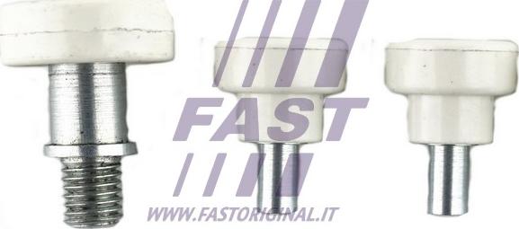 Fast FT95536 - Virzošais rullītis, Bīdāmās durvis www.autospares.lv