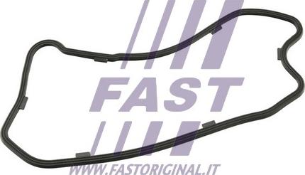 Fast FT49208 - Blīve, Eļļas vācele www.autospares.lv