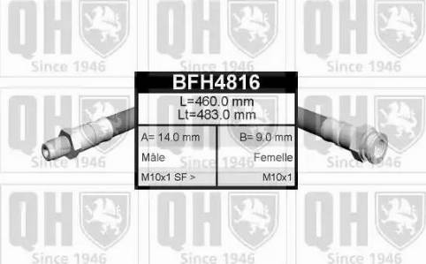 Quinton Hazell BFH4816 - Bremžu šļūtene www.autospares.lv