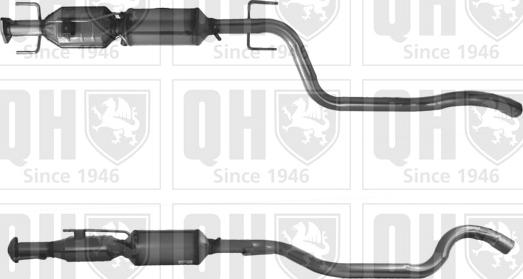Quinton Hazell QDPF11028H - Nosēdumu / Daļiņu filtrs, Izplūdes gāzu sistēma www.autospares.lv