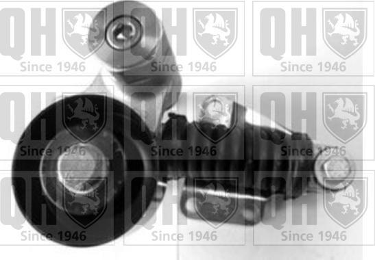 Quinton Hazell QTA1317 - Siksnas spriegotājs, Ķīļsiksna www.autospares.lv