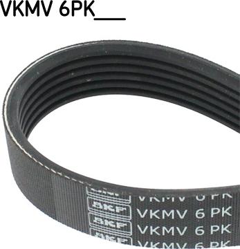 SKF VKMV 6PK1585 - Ķīļrievu siksna www.autospares.lv