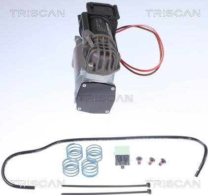 Triscan 8725 11101 - Kompresors, Pneimatiskā sistēma www.autospares.lv