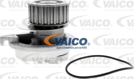 VAICO V40-50022 - Ūdenssūknis www.autospares.lv