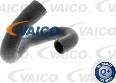 VAICO V40-1339 - Radiatora cauruļvads www.autospares.lv