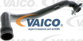 VAICO V10-9766 - Šļūtene, Motora galvas vāka ventilācija www.autospares.lv