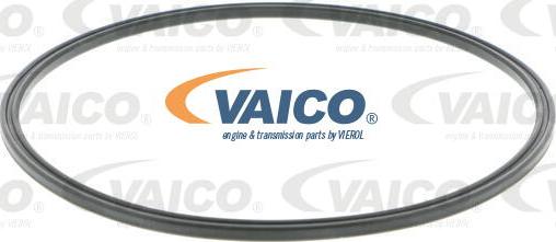 VAICO V10-4417 - Blīve, Degvielas daudzuma devējs www.autospares.lv