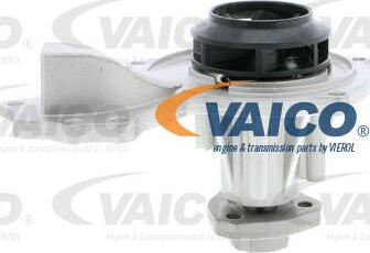 VAICO V10-50045 - Ūdenssūknis www.autospares.lv