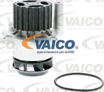 VAICO V10-50060-1 - Ūdenssūknis www.autospares.lv