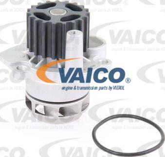 VAICO V10-50060 - Ūdenssūknis www.autospares.lv