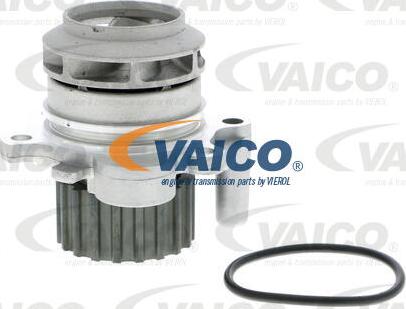VAICO V10-50001 - Ūdenssūknis www.autospares.lv