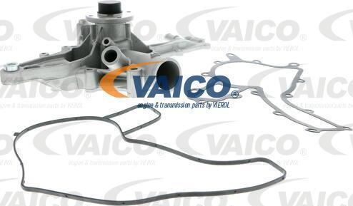 VAICO V10-50015 - Ūdenssūknis www.autospares.lv