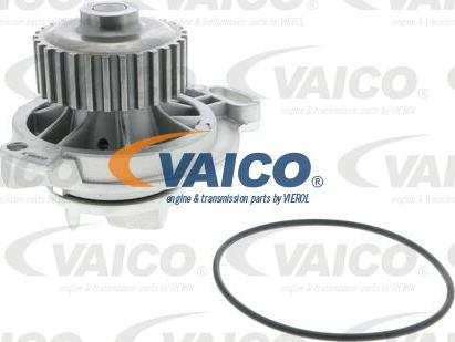 VAICO V10-50031 - Ūdenssūknis www.autospares.lv