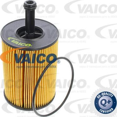 VAICO V10-0391 - Eļļas filtrs www.autospares.lv