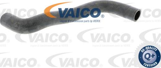 VAICO V10-0361 - Radiatora cauruļvads www.autospares.lv