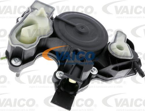 VAICO V10-3697 - Eļļas atdalītājs, Kartera ventilācija www.autospares.lv