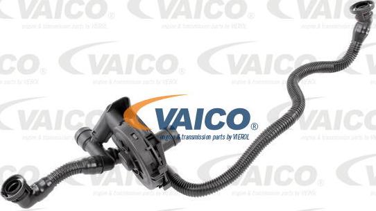 VAICO V10-3089 - Šļūtene, Kartera ventilācija www.autospares.lv
