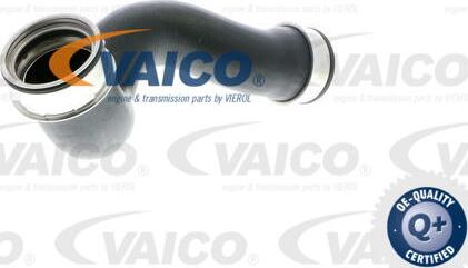 VAICO V10-2902 - Pūtes sistēmas gaisa caurule www.autospares.lv