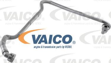 VAICO V10-2679 - Šļūtene, Kartera ventilācija www.autospares.lv