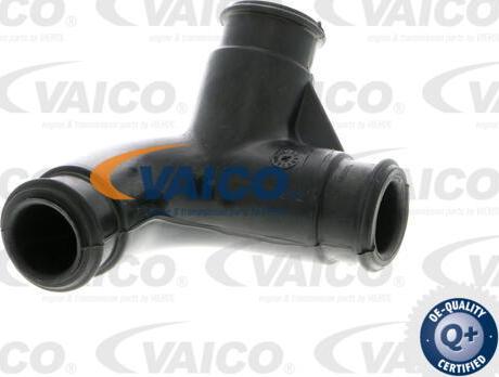 VAICO V10-2275 - Šļūtene, Kartera ventilācija www.autospares.lv