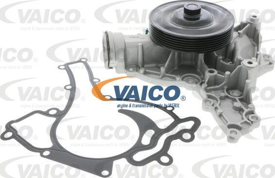 VAICO V30-50078 - Ūdenssūknis www.autospares.lv