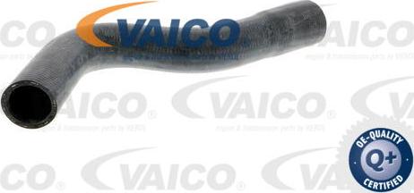 VAICO V30-0247 - Radiatora cauruļvads www.autospares.lv