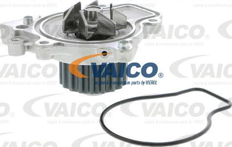 VAICO V26-50006 - Ūdenssūknis www.autospares.lv