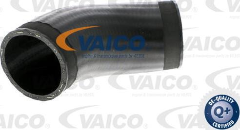 VAICO V20-1614 - Pūtes sistēmas gaisa caurule www.autospares.lv