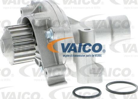 VAICO V22-50001 - Ūdenssūknis www.autospares.lv