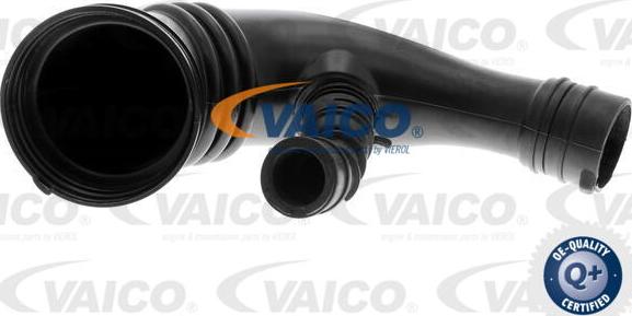 VAICO V22-1098 - Pūtes sistēmas gaisa caurule www.autospares.lv
