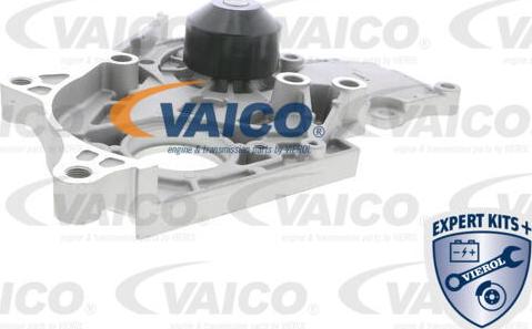 VAICO V70-50010 - Ūdenssūknis www.autospares.lv
